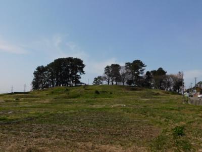 古代多賀城の歴史ロマンにふれながらの花鳥散歩【工事中の多賀城南門～政庁跡】（３）！