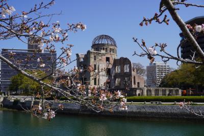 広島市内水の都リバーウォークと桜の見どころあちこち総まとめ～平和都市広島のもうひとつの顔、太田川水系に育まれた美しい春の情景をお届けします～