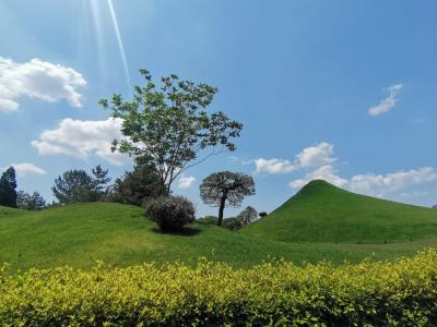 Go to 熊本！食べ歩き&amp;御朱印巡りの親子旅行♪マイル特典旅行２日目