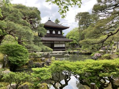 静かすぎる京都★GWの銀閣寺と哲学の道