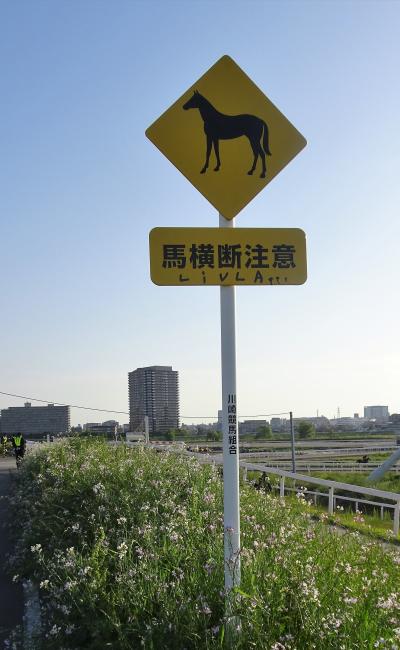 馬横断注意と馬専用横断歩道