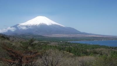 春の山中湖畔をハイキング