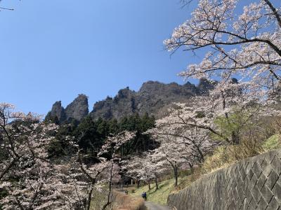 妙義さくらの里の旅　妙義公園～中之嶽神社～さくらの里～妙義神社～めじろコーヒーショップ～五料の茶屋本陣