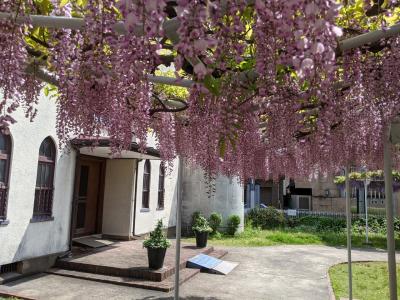 初上陸！九州、福岡！光雲神社和西公園也散策。