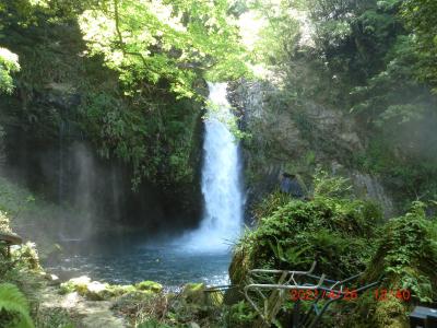 伊豆半島東海岸1泊2日の旅　2日目