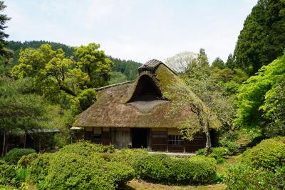 福井竹田の油揚げの有名店「谷口屋」さんへ