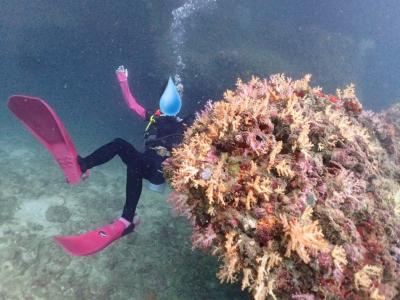 桜子さん1人旅  シミラン目指してプーケット特訓2