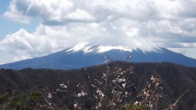 釈迦ヶ岳―富士山北側を歩く