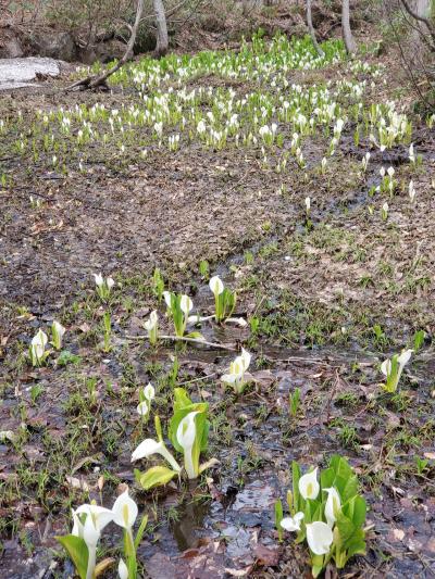 秋田県 3泊4日、乳頭温泉郷編。