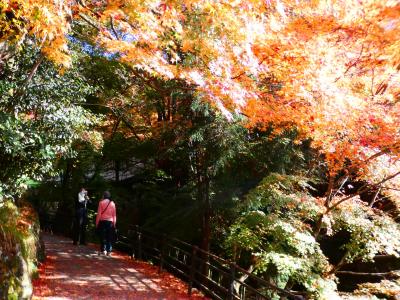 京都 大原 呂律川(Ryosen & Ritsusen Rivers, Ohara, Kyoto, JP)