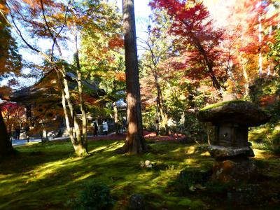 京都 大原 三千院(Sanzen-in Temple, Ohara, Kyoto, JP)