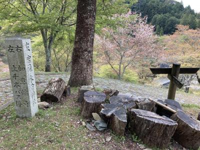 【日本一の吉野の桜を求めて】吉野駅から奥千本まで足で登ったぞ！