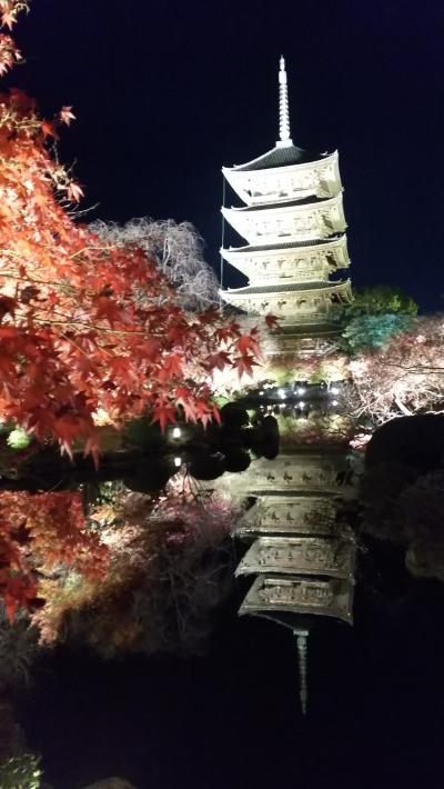3年ぶりの京都　東寺の昼と夜