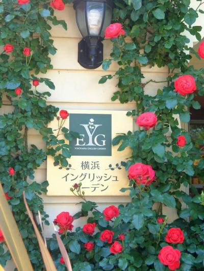 横浜イングリッシュ・ガーデンの春バラ