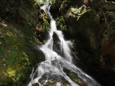 岡山県日帰り滝めぐり（１）　滝メグラーが行く２２６　鳴滝峡の滝群　井原市芳井町