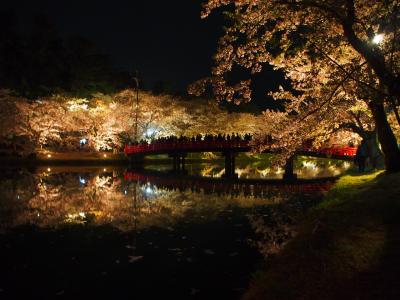 念願の弘前さくら＆函館五稜郭さくら巡り②（弘前公園2日目編）