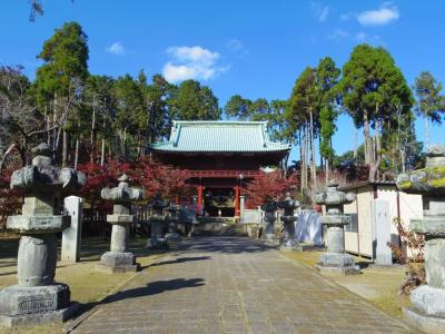 既に紅葉が遅かった「鹿野山神野寺」