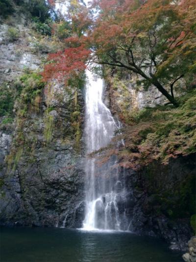 久しぶりに箕面へ　2020年11月21日　日帰り