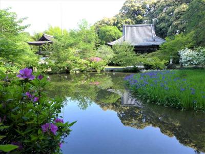 関西花の寺  !  長岳寺