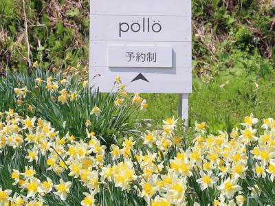 森の仲間になった気分がして.....、pöllö (ポロ)  / 柏崎市（新潟県）2021/4/24