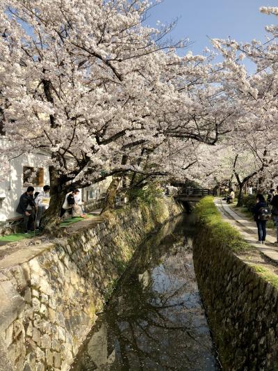 大阪・京都 5泊6日 ③ 清水寺・嵐山 5・6日目 エクシブ京都 八瀬離宮泊