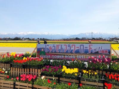 1泊2日 富山の旅 2日目は花の旅