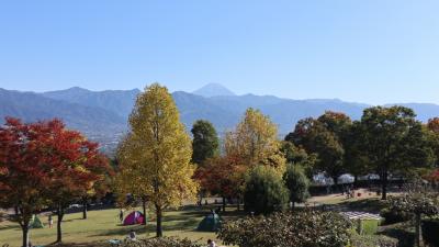 箱根湿性花園、大涌谷、山梨西沢渓谷トレッキング、笛吹川フルーツ公園を巡る(その３)