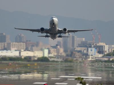伊丹空港滑走路付近へお散歩