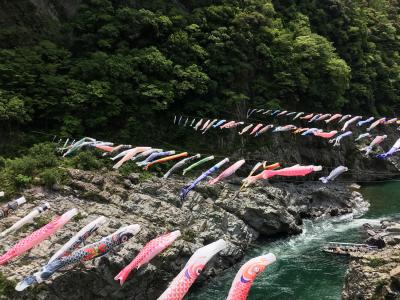 祖谷渓 かずら橋 大歩危に関する旅行記 ブログ フォートラベル 徳島県 祖谷渓 かずら橋 大歩危に関する旅行記 ブログ フォートラベル 徳島県