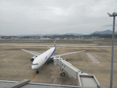 久しぶりの福岡空港。