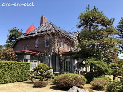 絶景の桜～満開、花吹雪、花筏、そして夜桜★弘前公園（2021）