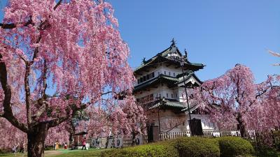 桜と青森・秋田・岩手の秘湯巡り2021年４月①弘前