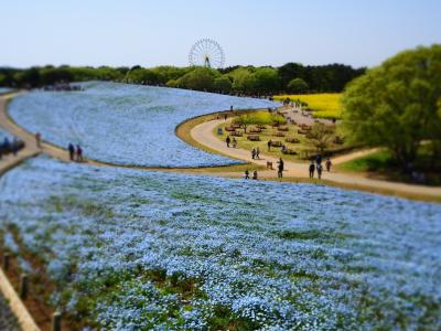 茨城観光1泊2日一人旅！袋田の滝～ひたち海浜公園～大洗