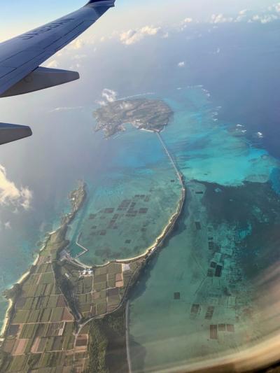 2021年1月25日~26日 GoTo中止だけど宮古ブルーに感動の五日間 1日目2日目