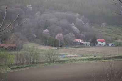 淡い春。　美瑛と上富良野、そして芦別へ