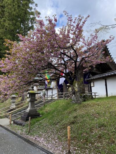 レンタカーで巡る　春の北東北　家族旅　2021  ①   フェリー　→ 盛岡(1～2日)