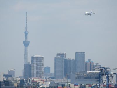 石垣の前にぶらり羽田