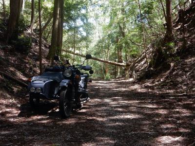 サイドカーの旅　癒しの裏山ダート