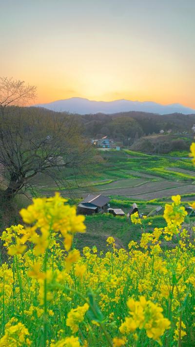 名古屋から東北、温泉巡りツアー6日目