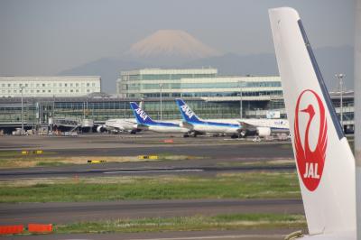 JL585便 東京羽田(HND)→函館(HKD)搭乗記 快晴で景色がきれいだった!