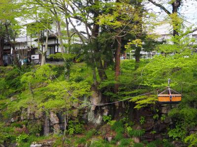 岩手ZIGZAG縦断旅⑤【世界遺産平泉～もち餅モッチー厳美渓・撃沈の登米へ♪】