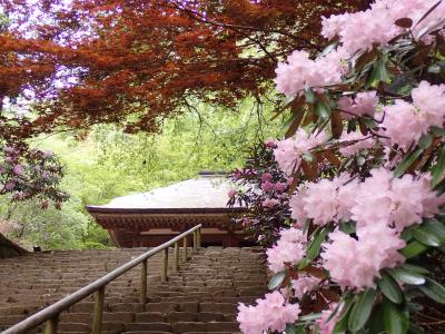 室生 宇陀に関する旅行記 ブログ フォートラベル 奈良県