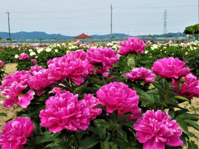埼玉県 一人旅 に関する旅行記 ブログ フォートラベル 埼玉県 一人旅 に関する旅行記 ブログ フォートラベル