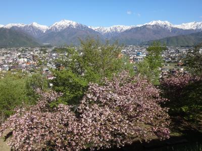 長野県 お花畑 に関する旅行記 ブログ フォートラベル