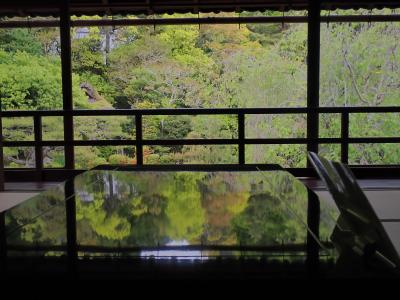 クロスカブで西国観音巡り　7日目　日吉東照宮・旧竹林院・日吉大社へ訪れました。