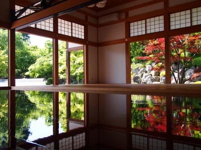 奇跡の絶景！桐生・宝徳寺で新緑の床もみじを見てきました！