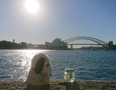 シドニーおっさん一人旅(１日目)