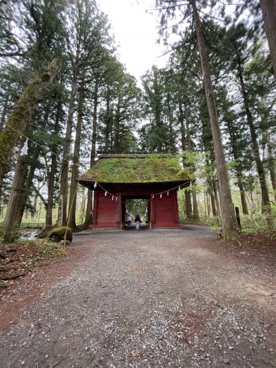 新緑まぶしい雨の信州【2021.5】…パワースポット戸隠神社奥社参拝《１日目》