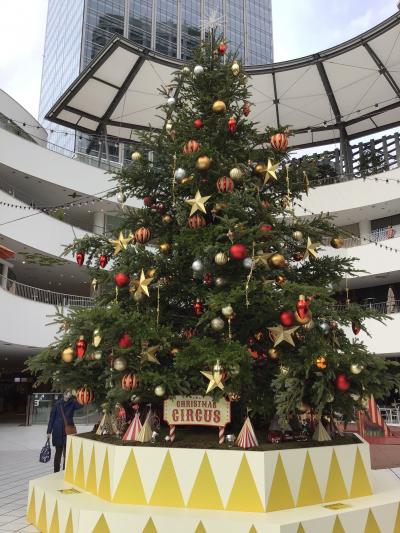 横浜クリスマスツリーと オークウッドスイーツ横浜①