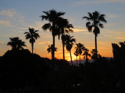 鹿児島4泊一人旅 ’21/04 No4